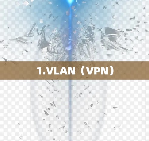 1.VLAN(VPN) 1.VLAN(VPN)