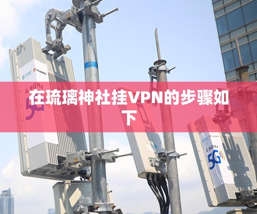 在琉璃神社挂VPN的步骤如下 在琉璃神社挂VPN的步骤如下