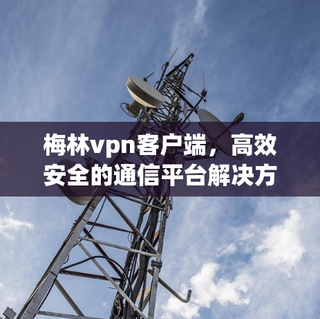 梅林vpn客户端，高效安全的通信平台解决方案