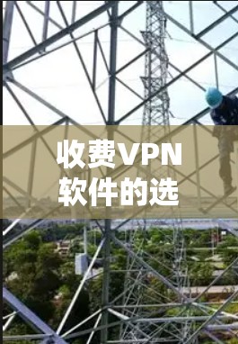收费VPN软件的选择应根据个人的具体需求和预算来决定。以下是对不同软件的比较和建议 收费VPN软件的选择应根据个人的具体需求和预算来决定。以下是对不同软件的比较和建议