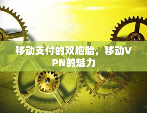 移动支付的双胞胎，移动VPN的魅力