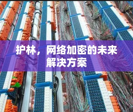护林,网络加密的未来解决方案 护林,网络加密的未来解决方案