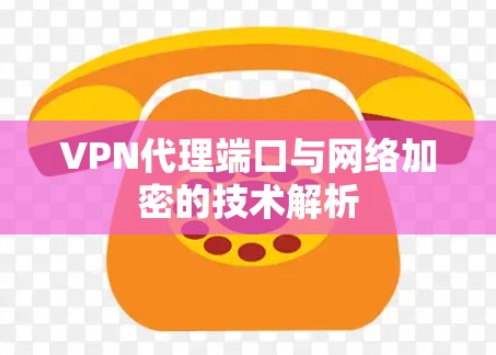 VPN代理端口与网络加密的技术解析 VPN代理端口与网络加密的技术解析