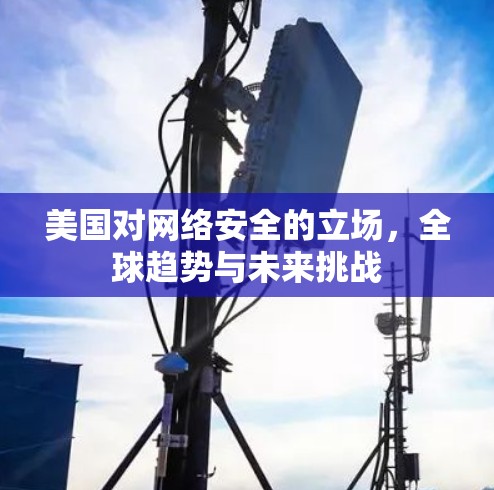 美国对网络安全的立场,全球趋势与未来挑战 美国对网络安全的立场,全球趋势与未来挑战