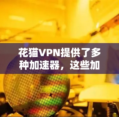 花猫VPN提供了多种加速器,这些加速器有助于提升VPN的连接速度和稳定性。以下是关于花猫VPN加速器的详细介绍 花猫VPN提供了多种加速器,这些加速器有助于提升VPN的连接速度和稳定性。以下是关于花猫VPN加速器的详细介绍