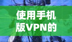 使用手机版VPN的关键在于权衡其功能、性能和安全性需求。以下是详细的使用建议