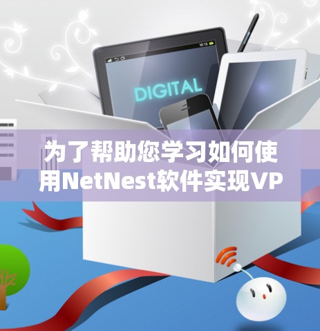 为了帮助您学习如何使用NetNest软件实现VPN，以下是一个详细的步骤指南