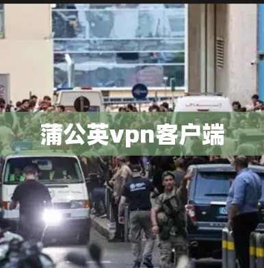 蒲公英vpn客户端 蒲公英vpn客户端