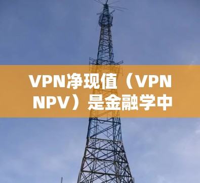 VPN净现值（VPN NPV）是金融学中评估VPN投资经济价值的指标。它通过计算未来现金流的现值，减去初始投资，判断投资是否有利。以下是详细步骤