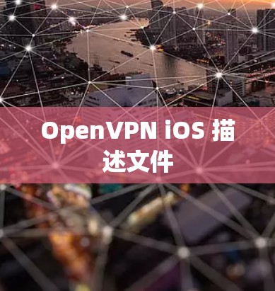 OpenVPN iOS 描述文件 OpenVPN iOS 描述文件