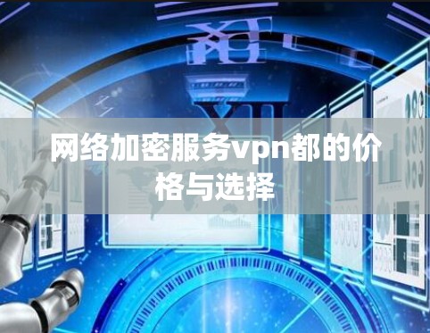 网络加密服务vpn都的价格与选择 网络加密服务vpn都的价格与选择