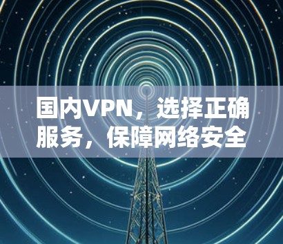 国内VPN,选择正确服务,保障网络安全 国内VPN,选择正确服务,保障网络安全