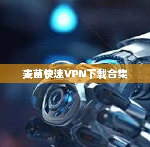 麦苗快速VPN下载合集 麦苗快速VPN下载合集