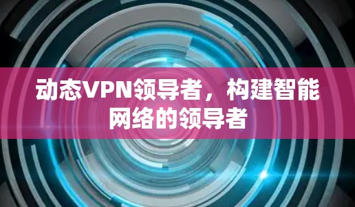 动态VPN领导者,构建智能网络的领导者 动态VPN领导者,构建智能网络的领导者