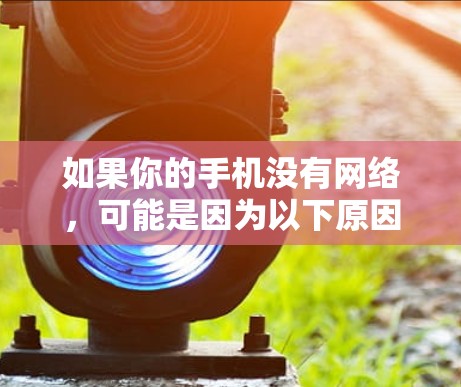 如果你的手机没有网络，可能是因为以下原因导致的