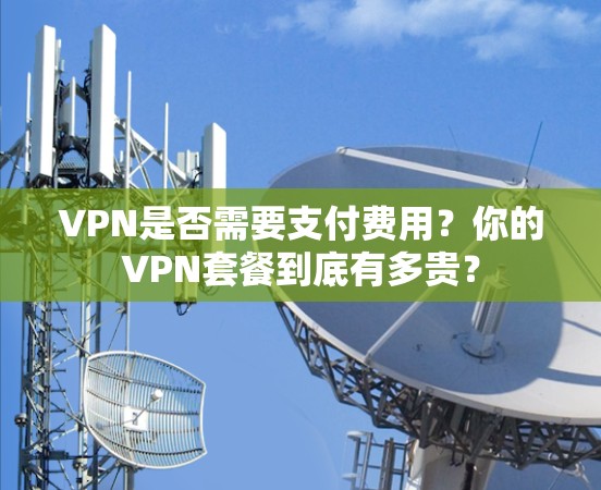 VPN是否需要支付费用？你的VPN套餐到底有多贵？