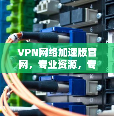 VPN网络加速版官网,专业资源,专业服务,专业体验 VPN网络加速版官网,专业资源,专业服务,专业体验
