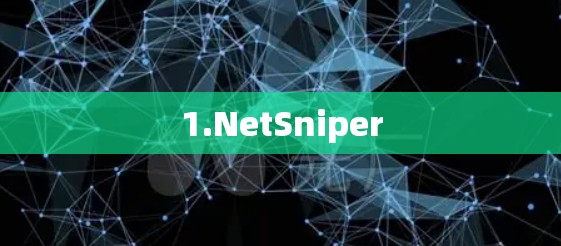 1.NetSniper