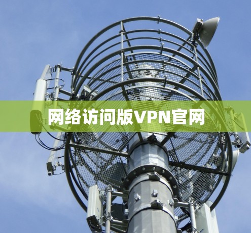 网络访问版VPN官网 网络访问版VPN官网