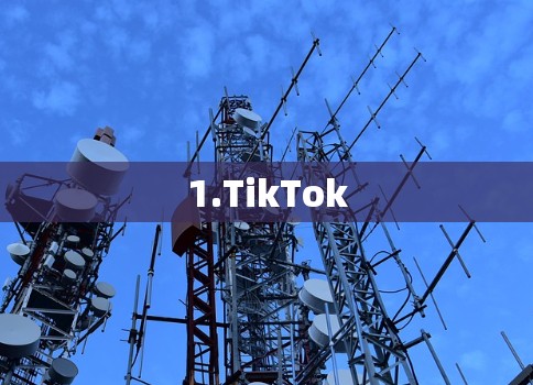 1.TikTok