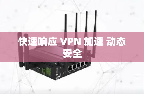 快速响应 VPN 加速 动态安全 快速响应 VPN 加速 动态安全