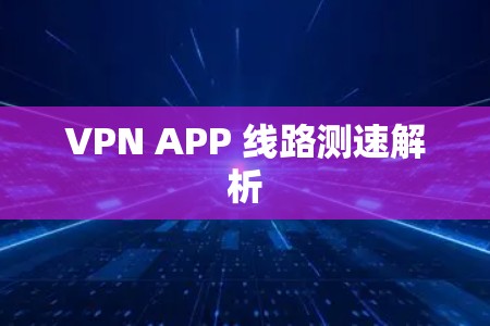 VPN APP 线路测速解析 VPN APP 线路测速解析