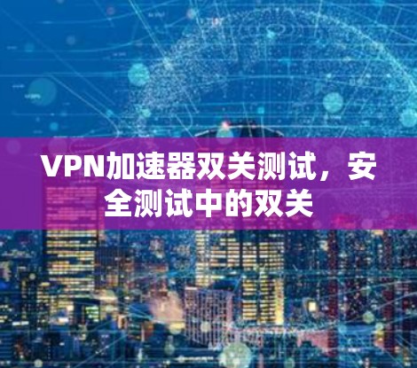 VPN加速器双关测试,安全测试中的双关 VPN加速器双关测试,安全测试中的双关