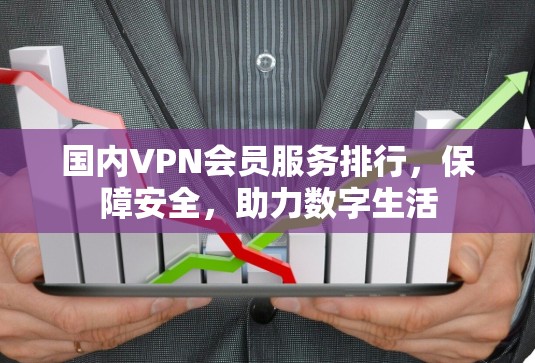 国内VPN会员服务排行,保障安全,助力数字生活 国内VPN会员服务排行,保障安全,助力数字生活