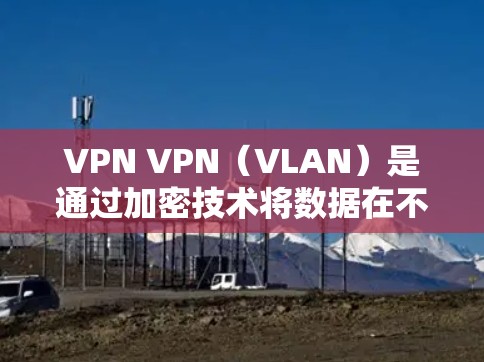 VPN VPN(VLAN)是通过加密技术将数据在不直接影响网络流的状态下传输。以下是关于VPN海外使用的详细信息 VPN VPN(VLAN)是通过加密技术将数据在不直接影响网络流的状态下传输。以下是关于VPN海外使用的详细信息