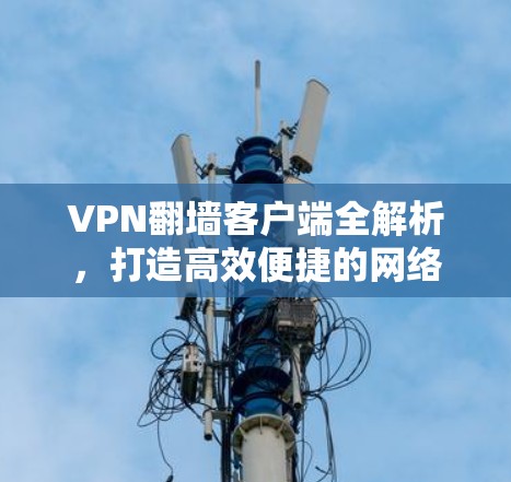VPN翻墙客户端全解析,打造高效便捷的网络访问工具 VPN翻墙客户端全解析,打造高效便捷的网络访问工具