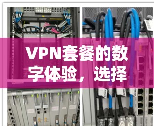 VPN套餐的数字体验,选择你的理想选择 VPN套餐的数字体验,选择你的理想选择