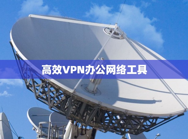 高效VPN办公网络工具 高效VPN办公网络工具