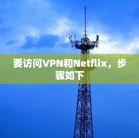 要访问VPN和Netflix，步骤如下