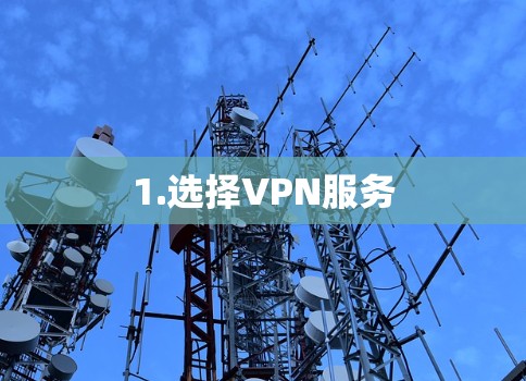 1.选择VPN服务 1.选择VPN服务
