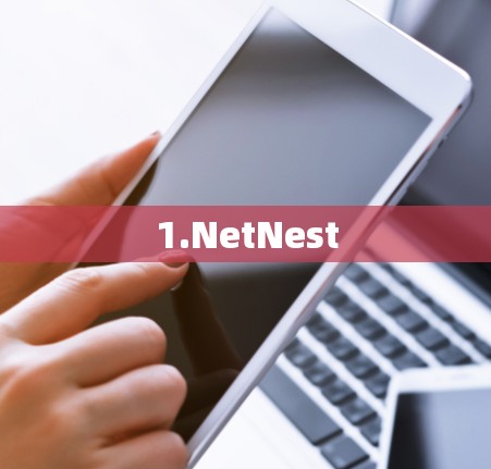 1.NetNest