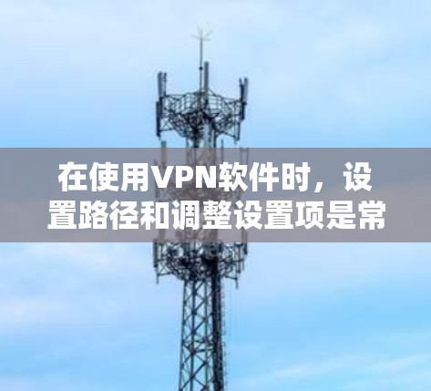 在使用VPN软件时，设置路径和调整设置项是常见的操作步骤。以下是一些常见的方法，您可以根据自己的具体软件进行调整