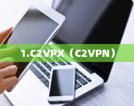 1.C2VPX（C2VPN）