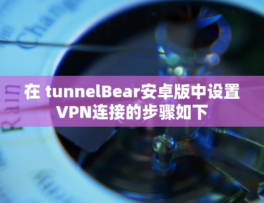 在 tunnelBear安卓版中设置VPN连接的步骤如下 在 tunnelBear安卓版中设置VPN连接的步骤如下