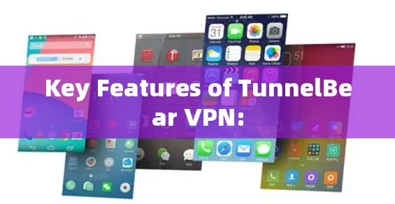 Key Features of TunnelBear VPN: Key Features of TunnelBear VPN: