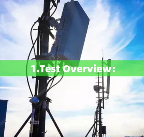 1.Test Overview: 1.Test Overview: