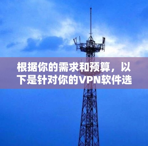 根据你的需求和预算,以下是针对你的VPN软件选择的建议 根据你的需求和预算,以下是针对你的VPN软件选择的建议