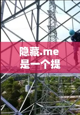 隐藏.me 是一个提供移动应用的VPN服务,虽然它本身没有直接的 Windows 版本,但如果你需要在 Windows 环境下使用他们的 VPN 工具,可以尝试以下方法