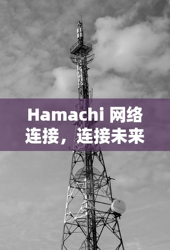 Hamachi 网络连接,连接未来